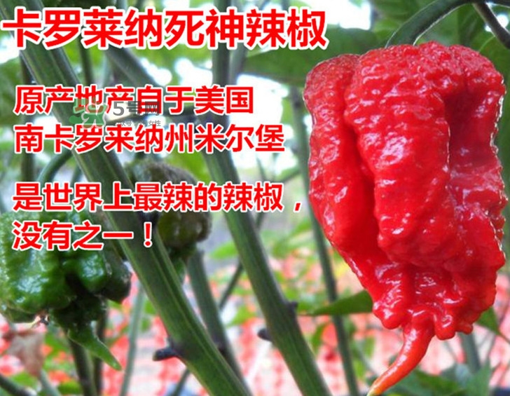 死神辣條哪兒有賣？哪里可以買到死神辣條