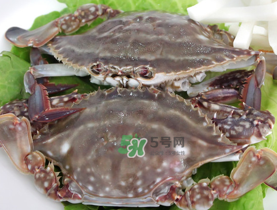 梭子蟹為什么這么貴？梭子蟹和大閘蟹哪個(gè)貴？