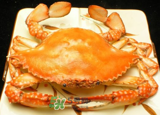 飛蟹什么時(shí)候最肥？飛蟹幾月份最肥？