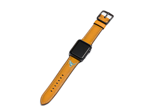 coach apple watch恐龍表帶多少錢？蔻馳蘋果手表恐龍表帶價格