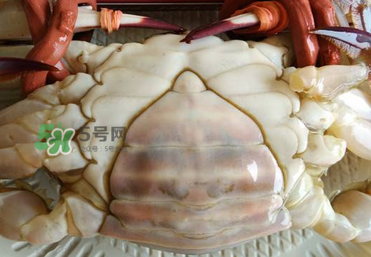 飛蟹多少錢(qián)一斤？飛蟹多少錢(qián)一斤2017？