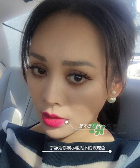 ysl208是什么顏色？ysl208適合黃皮嗎？