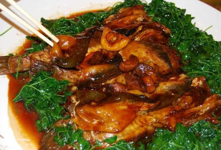 河豚魚怎么吃？河豚魚怎么去毒