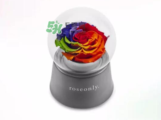 roseonly音樂盒多少錢？roseonly音樂盒歌曲名