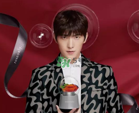roseonly音樂盒多少錢？roseonly音樂盒歌曲名