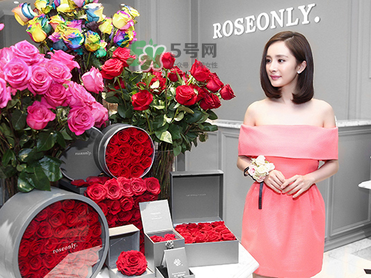 roseonly音樂盒多少錢？roseonly音樂盒歌曲名