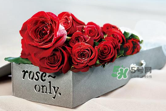 roseonly永生花可以保存多久？roseonly永生花保養(yǎng)