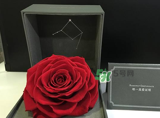 roseonly永生花可以保存多久？roseonly永生花保養(yǎng)