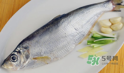 鰣魚和響魚是兩種魚嗎？鰣魚和鯽魚的區(qū)別