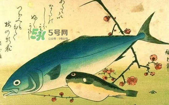 河鲀可以養(yǎng)嗎？河鲀有毒為什么還要吃