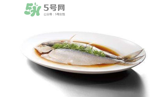 鰣魚還有嗎？長江鰣魚滅絕了嗎