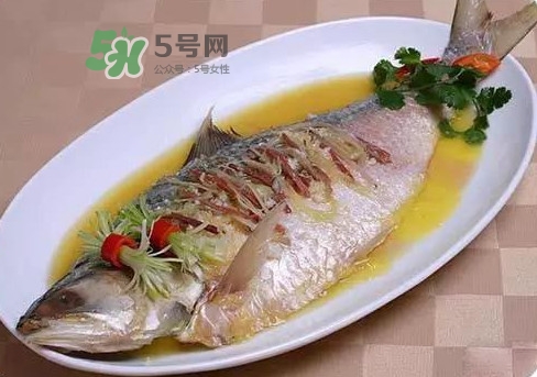 鰣魚怎么讀？鰣魚是什么魚