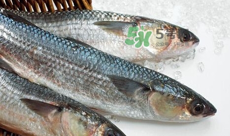 鰣魚多少錢一斤？長江鰣魚多少錢一斤2017