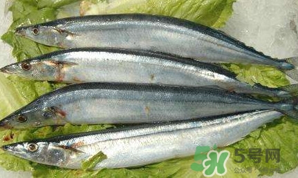 鰣魚和刀魚哪個(gè)貴？長(zhǎng)江三鮮哪個(gè)最貴