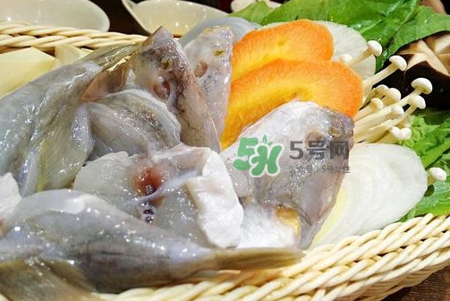 河豚可以當(dāng)寵物養(yǎng)嗎？河豚可以用淡水養(yǎng)嗎