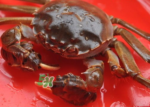 大閘蟹可以帶上高鐵嗎？坐高鐵可以帶大閘蟹嗎？