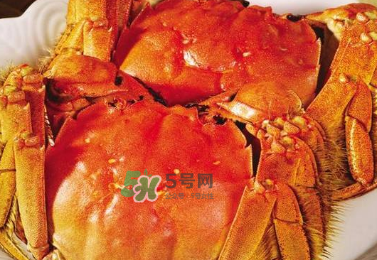 大閘蟹不能和什么一起吃？大閘蟹和什么食物相克？