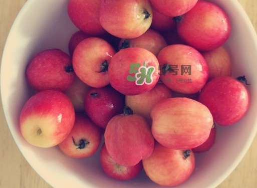 海棠果是涼性的嗎？海棠果是熱性還是涼性