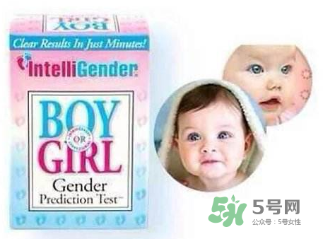 intelligender價格多少？intelligender多少錢？