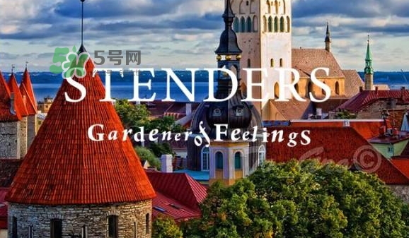 施丹蘭孕婦可以用嗎？stenders施丹蘭懷孕可以用嗎