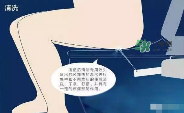 孕期可以蹲著上廁所嗎？孕期上廁所會壓到寶寶嗎？