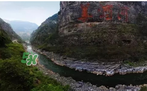 茅臺(tái)酒為什么那么貴？茅臺(tái)酒為什么這么貴