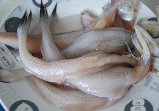 買龍頭魚怎么挑選？冰凍龍頭魚怎么去內臟
