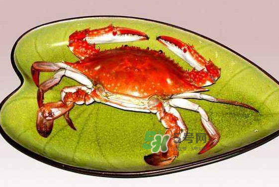 海螃蟹蒸多長時間？海螃蟹蒸多久？