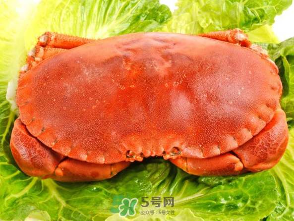 面包蟹和帝王蟹哪個好吃？面包蟹好吃還是帝王蟹好吃？