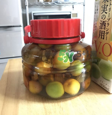 自制青梅酒的做法 青梅酒泡多久可以喝？
