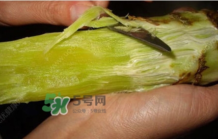 青筍怎么處理？青筍怎么切成菱形