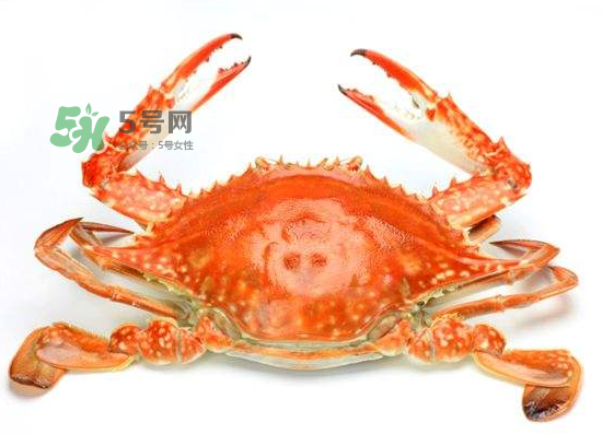 ?花蟹可以放冰箱嗎？花蟹怎么保存才新鮮？