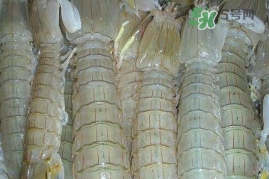 蝦蛄怎么讀？蝦蛄多少錢一斤