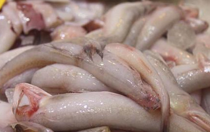 龍頭魚怎么做好吃？龍頭魚干怎么做好吃