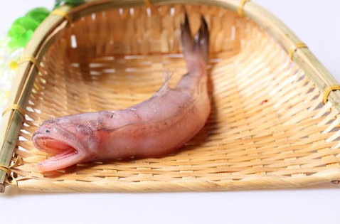 龍頭魚怎么做好吃？龍頭魚干怎么做好吃
