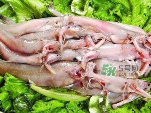 龍頭魚還有別的名嗎？龍頭魚有哪幾種做法