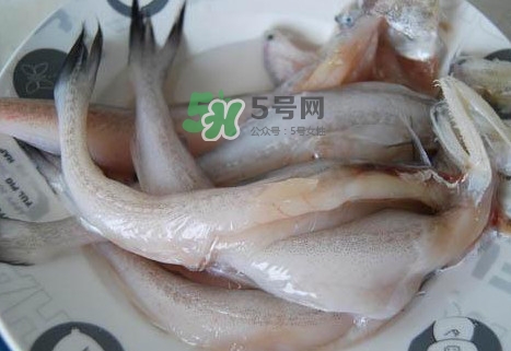 龍頭魚怎么殺？龍頭魚怎么處理？