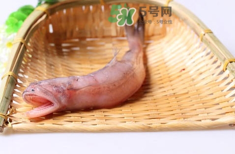 龍頭魚身是什么神獸？龍頭魚身是什么寓意