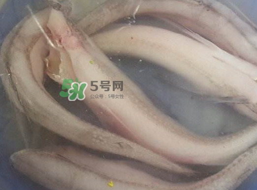 買龍頭魚怎么挑選？冰凍龍頭魚怎么去內臟