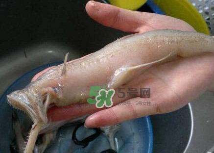 水潺湯怎么做？水潺燉豆腐的做法