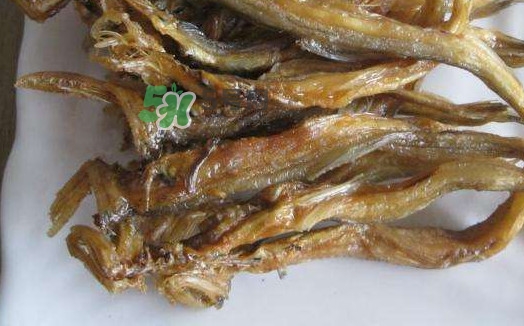 水潺湯怎么做？水潺燉豆腐的做法
