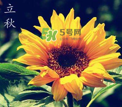 立秋后是不是早晚天氣涼？立秋后天氣有什么變化？