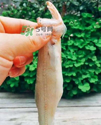 水潺怎么讀？水潺是海鮮嗎
