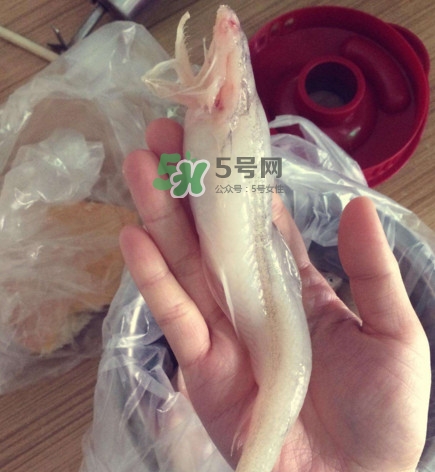 海鮮水潺孕婦可以吃嗎？水潺魚的營(yíng)養(yǎng)價(jià)值