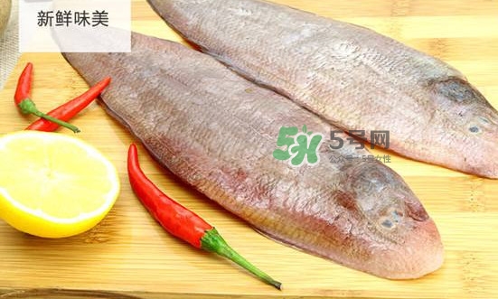 é¾åˆ©é­šå¤šå°‘éŒ¢ä¸€æ–¤ï¼Ÿé¾åˆ©é­šæ˜¯ä»€ä¹ˆé­š
