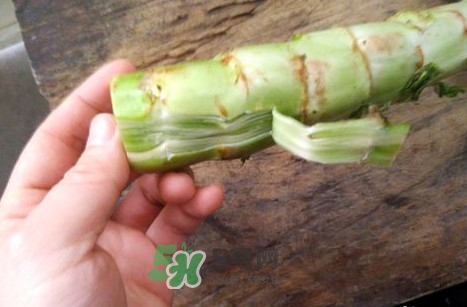 青筍怎么做好吃？青筍怎么去皮快