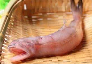龍頭魚(yú)身是什么神獸？龍頭魚(yú)身是什么寓意
