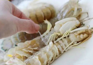 蝦蛄怎么讀？蝦蛄多少錢一斤