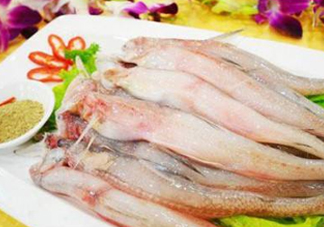 龍頭魚孕婦可以吃嗎？孕婦能吃龍頭魚嗎