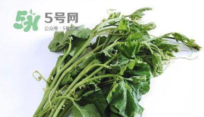 南瓜苗怎么做好吃？南瓜苗怎么撕？